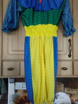 Karnevalový kostým