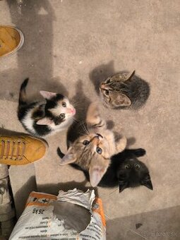 HĽADÁME TVOJE LÁSKAVÉ RUKY