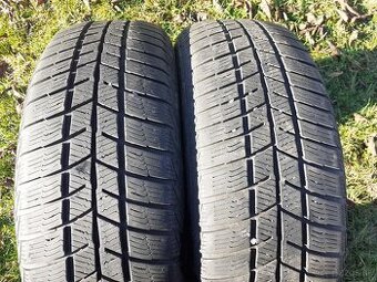 zimne 195/65 r15