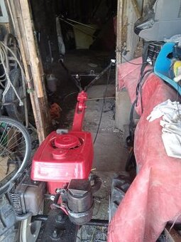Tera motor