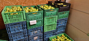 🍎 Predám domáce jablká 🍏