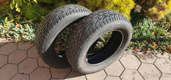 SEBRING SNOW, ZIMNE, CELOROCNE, 195/65 R15, 95T, M+S