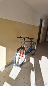 Bicykel Torpado