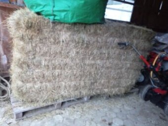 Preddám  velký    balík   kvalitneho horskeho sena