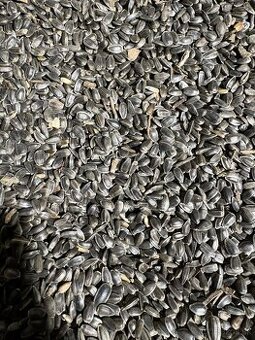 Slnečnica,Kukurica,Proso