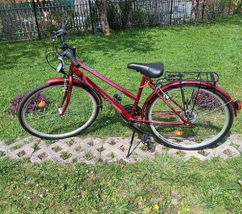 Bicykel Kenzel