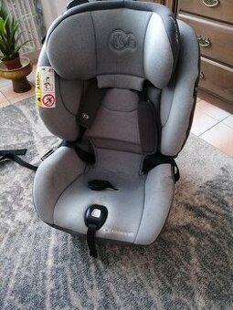 Autosedacka