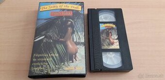 VHS Videokazety