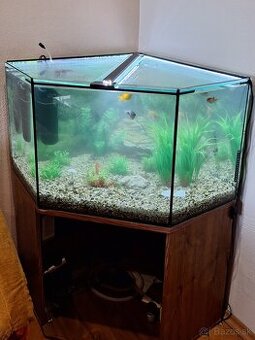 Predám rohové akvárium