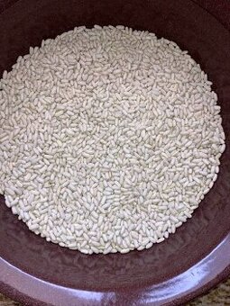 predám bielu a strakatú fazuľu na konzum