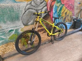 DH bike fox ctm raptor