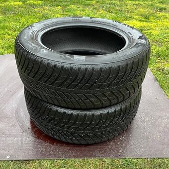 225/55 r16 celoročné NEXEN 95H