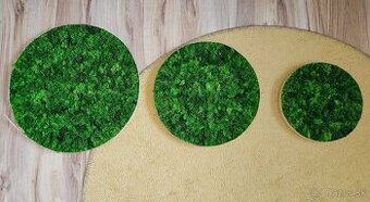 Predám machové obrazy Ø 30cm + Ø 40cm + Ø 50cm