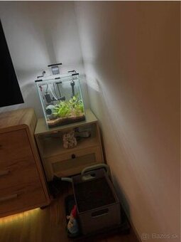 aquarium 19 litrov