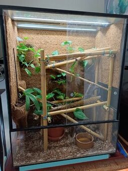 Terarium