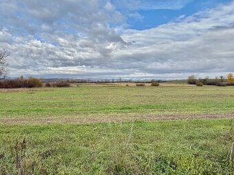 Predaj pozemok katastrálne územie Gemer 8689 m2