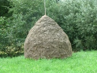 Predám seno, nebalíkované