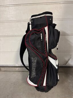 Bag Spalding