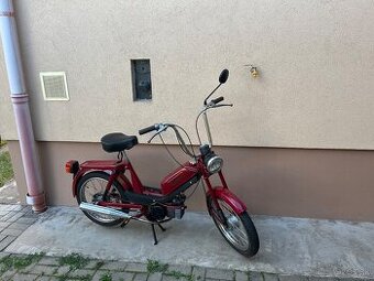 Babeta 207