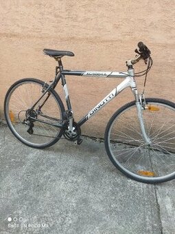 Bicykel horský dinotti XC 5004