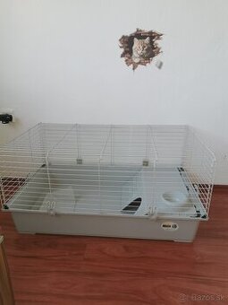Predam klietku