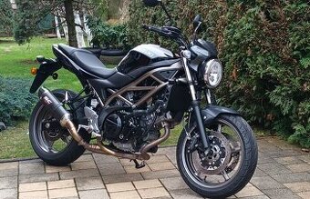 Suzuki SV 650 - 2024 - 1