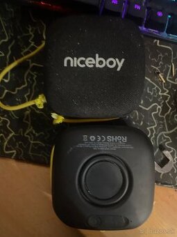 Niceboy raze mini 4