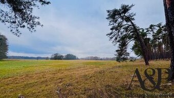 NA PREDAJ ROZĽAHLÝ POZEMOK, 246621 M2, LAKŠÁRSKA NOVÁ VES, o