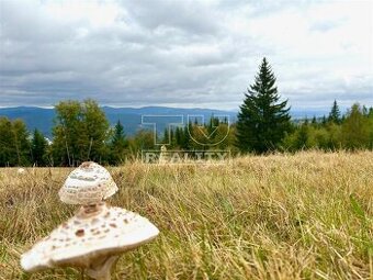 Na predaj slnečná lúka s výhľadmi, nad Turzovkou okr. Čadca
