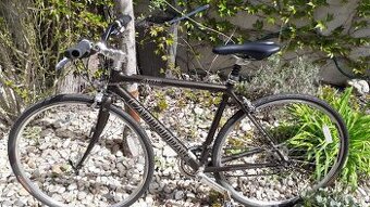 cannondale 400 road warrior 2005 vintage