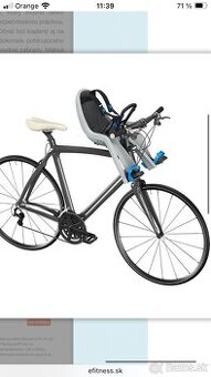Thule RideAlong Mini Seat