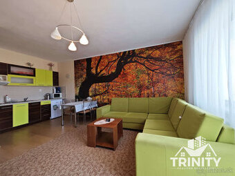 Na predaj zariadený apartmán v obci Podhájska