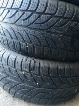 225/55R17 zimné