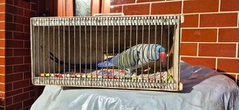 Alexander malý opalin violet pastel