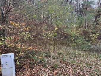 Pozemok v chatovej oblasti Vyšný Kazimír