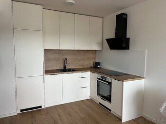 1,5 i byt v centre mesta, Kriva ulica