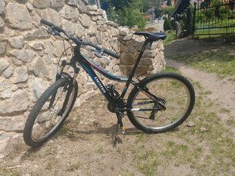 Dema racer