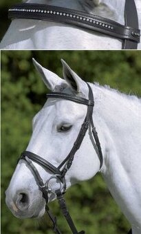 Anglicka uzda strieborná