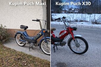 Kupim Puch Maxi /x30