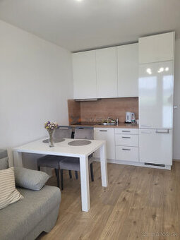 Ponúkam na prenájom 1-izbový byt v novostavbe na ulici Sucho