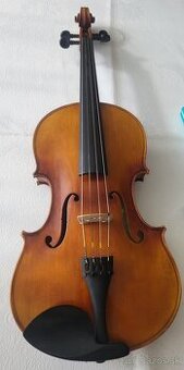 Viola