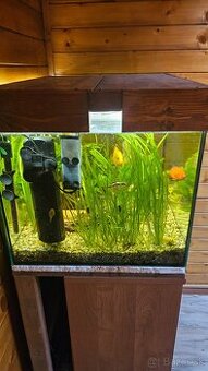 Predam akvarium - 1