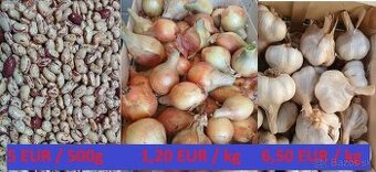 Cesnak, cibuľa, fazuľa