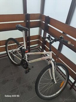 Predám dámsky bicykel.