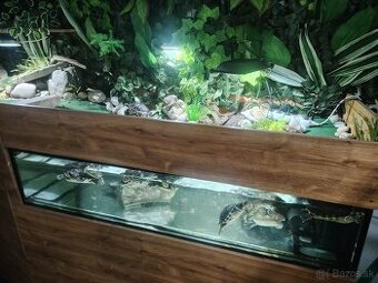 Predám akvárium