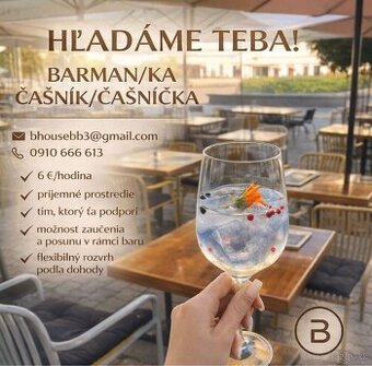 HĽADÁME BARMANA/ČAŠNÍKA/KU