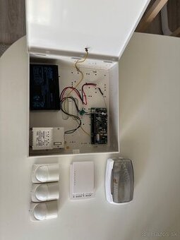 Alarm Paradox