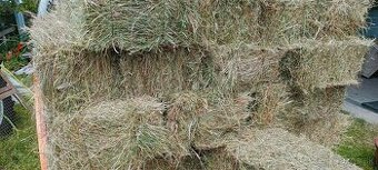 Predám malé balíky slamy  a sena