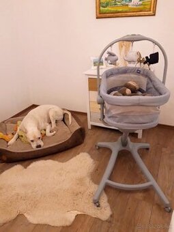 Chicco Baby Hug 4in1