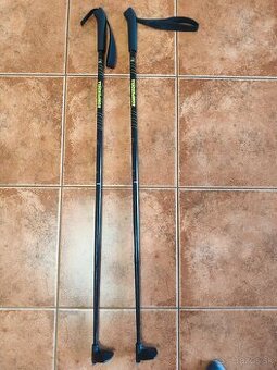 Fischer Sprint JR detské bežecké palice 100 cm